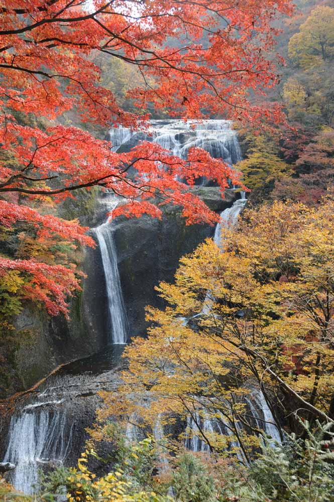 日本三名瀑の一つで４段に流れる美しい滝＝大子町袋田