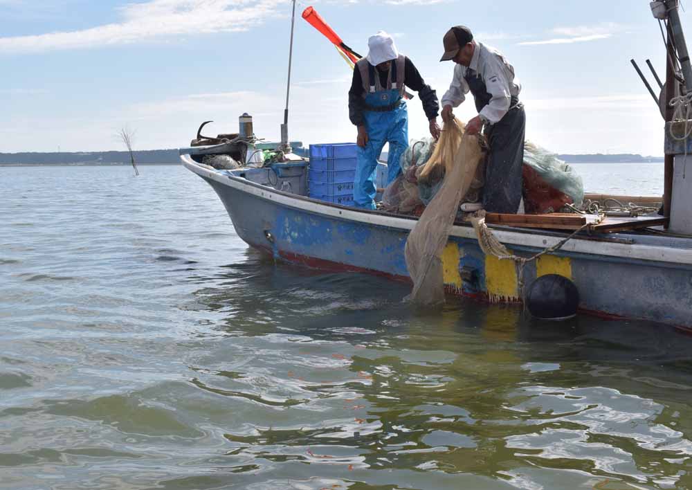 ワカサギなどの魚を網で引き揚げる漁師＝行方市沖の北浦