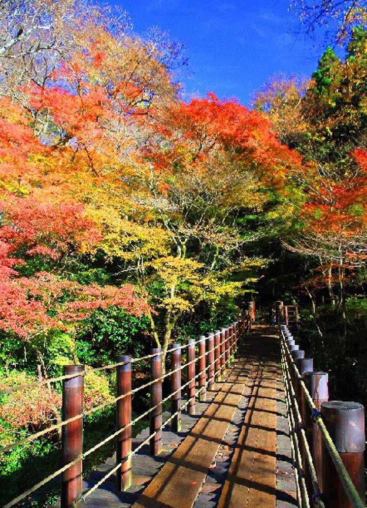 高萩市を代表する紅葉のメインスポット「花貫渓谷」
