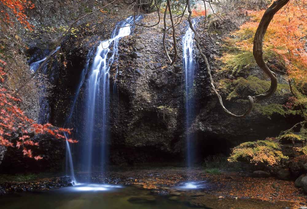 風情のある月待の滝。水にぬれずに滝の裏側に入れる＝大子町川山
